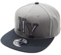 FS-828 NY