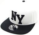 FS-825 NY