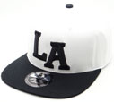 FS-819 LA