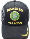 MI-781 Disabled Army Veteran