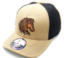 DL-153 Horse