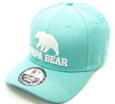 DL-154 Papa Bear