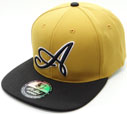 FS-266 Sense A Snapback
